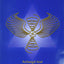 What is Lightbody?
