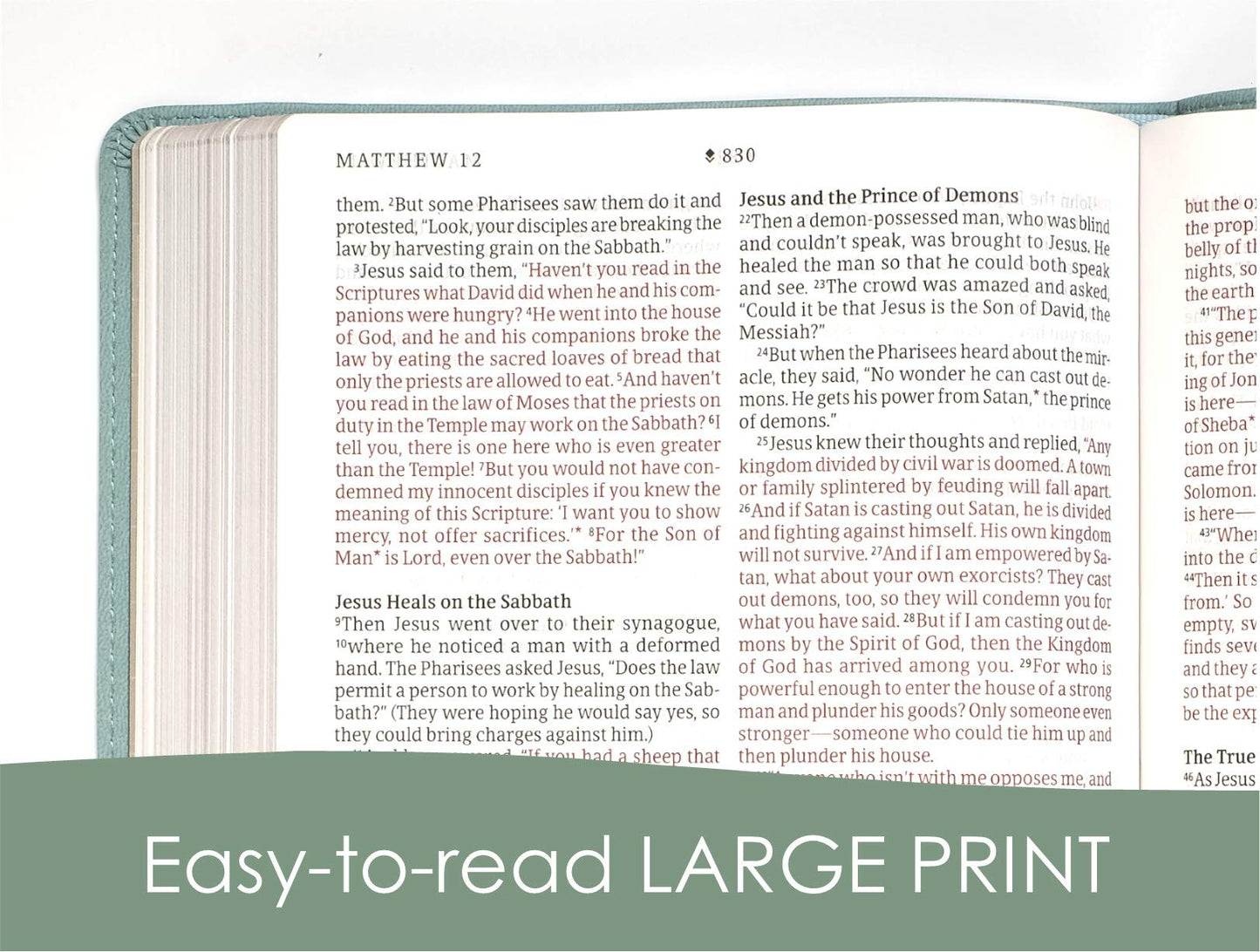 NLT Large Print Thinline Reference Bible, Filament Enabled (LeatherLike, Floral Leaf Teal, Red Letter): Includes Free Access to the Filament Bible App ... Notes, Devotionals, Worship Music, and Video