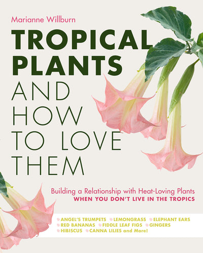 Tropical Plants and How to Love Them: Building a Relationship with Heat-Loving Plants When You Don't Live In The Tropics - Angels Trumpets - ... - Gingers - Hibiscus - Canna Lilies and More!