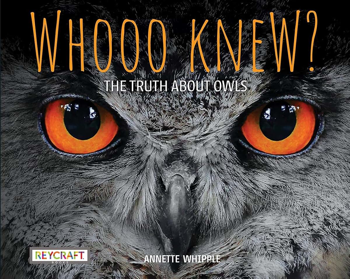 Whooo Knew? The Truth About Owls