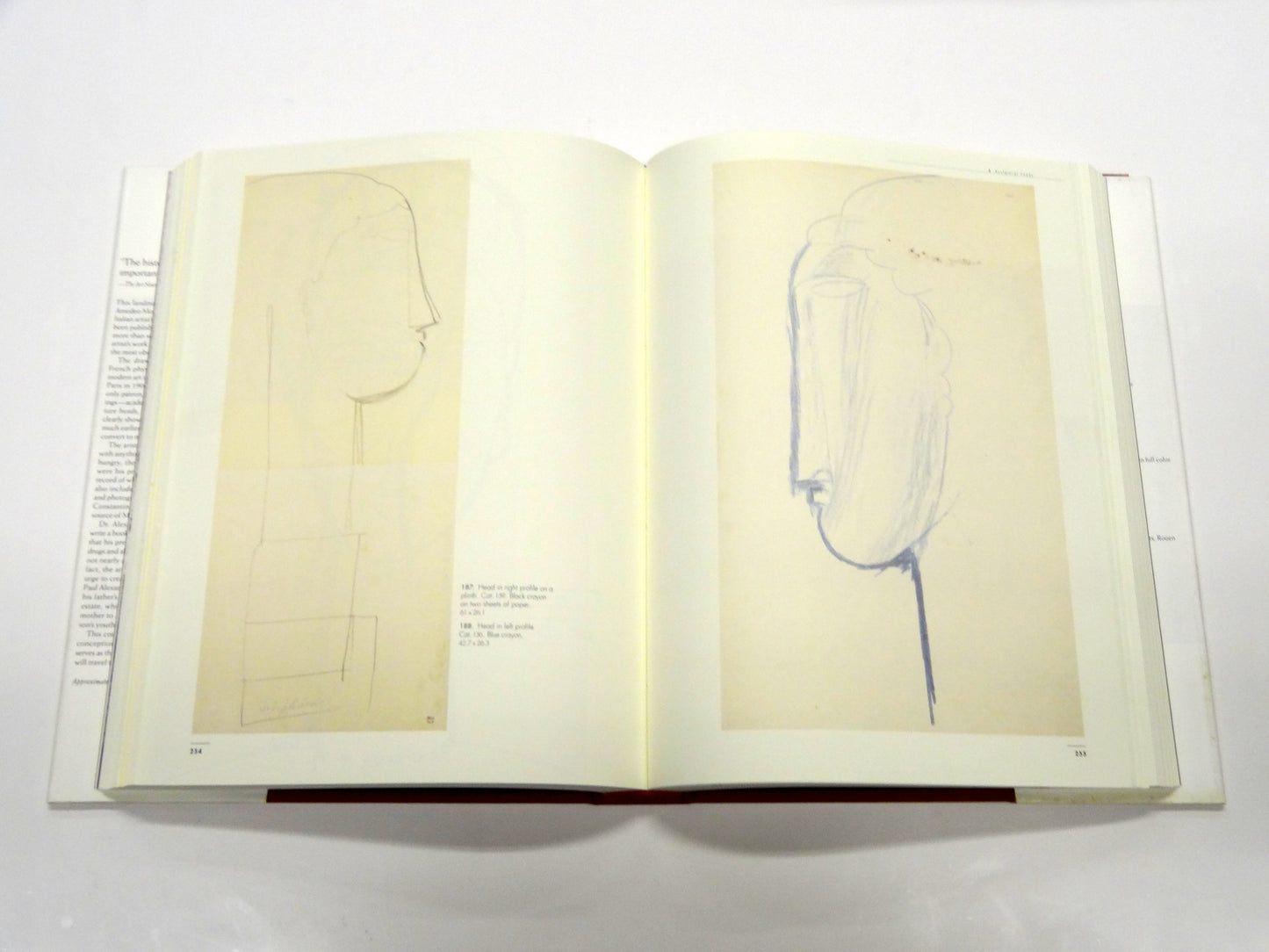 The Unknown Modigliani: Drawings from the Collection of Paul