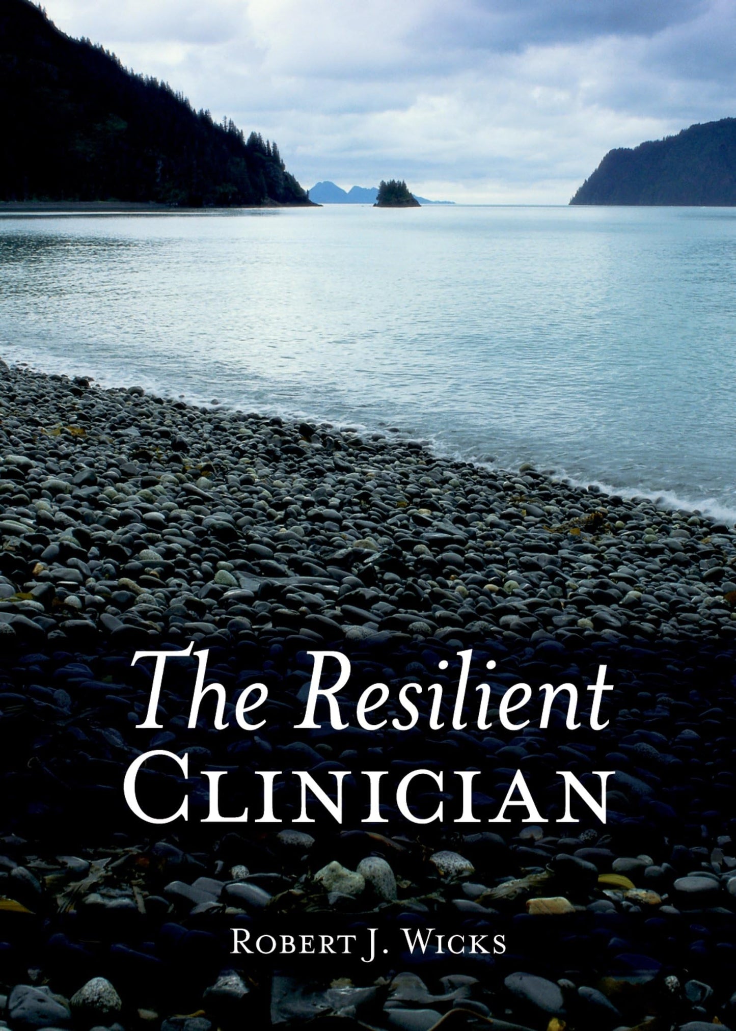 The Resilient Clinician by Wicks, Robert J.