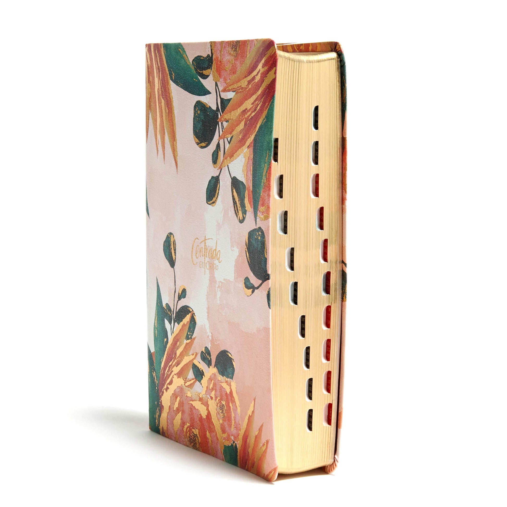 Biblia Reina Valera 1960 Devocional Centrada en Cristo Floral, smil piel con ndice  RVR1960 Centered in Christ Devotional Bible, Floral, LeatherTouch, Indexed (Spanish Edition)