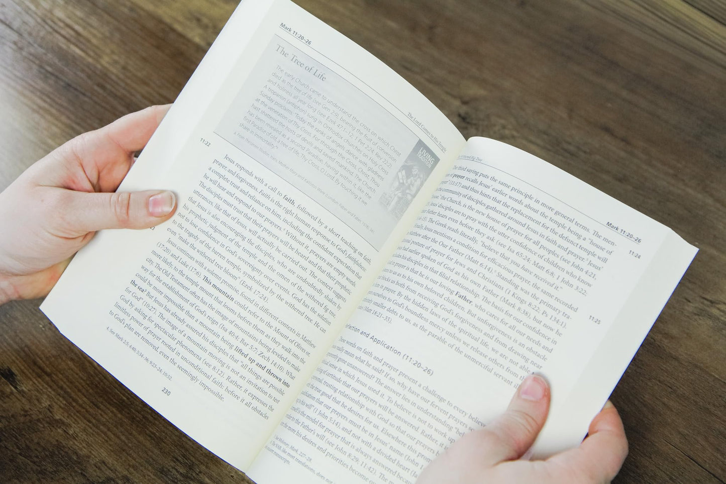 The Gospel of Mark: A Catholic Bible Commentary on the New Testament by Trusted Biblical Scholars  CCSS (Catholic Commentary on Sacred Scripture)