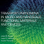 Transport Phenomena in Micro- and Nanoscale Functional Materials and Devices (Micro and Nano Technologies)