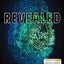Revealed: Discovering Your True Identity in Christ for Teen Boys and Young Men