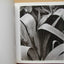 Paul Strand (Aperture Masters of Photography Series, Number One)