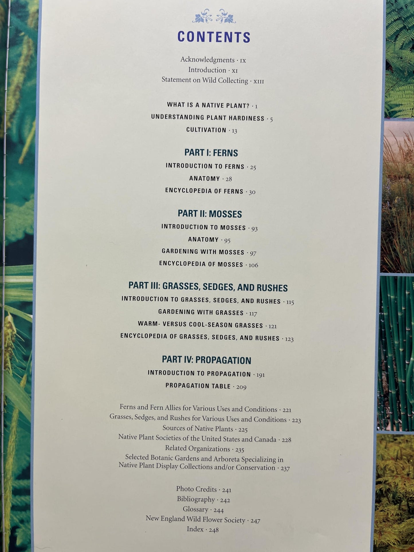 Native Ferns, Moss & Grasses