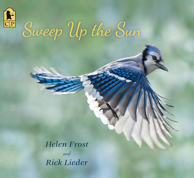 Sweep Up the Sun (Step Gently, Look Closely) by Frost, Helen