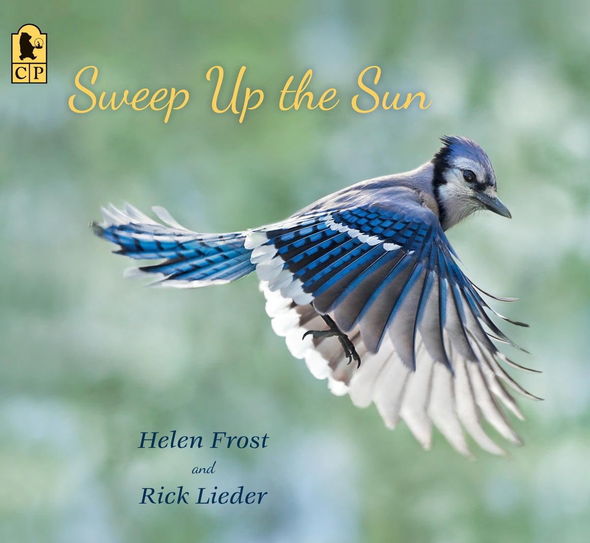 Sweep Up the Sun (Step Gently, Look Closely)