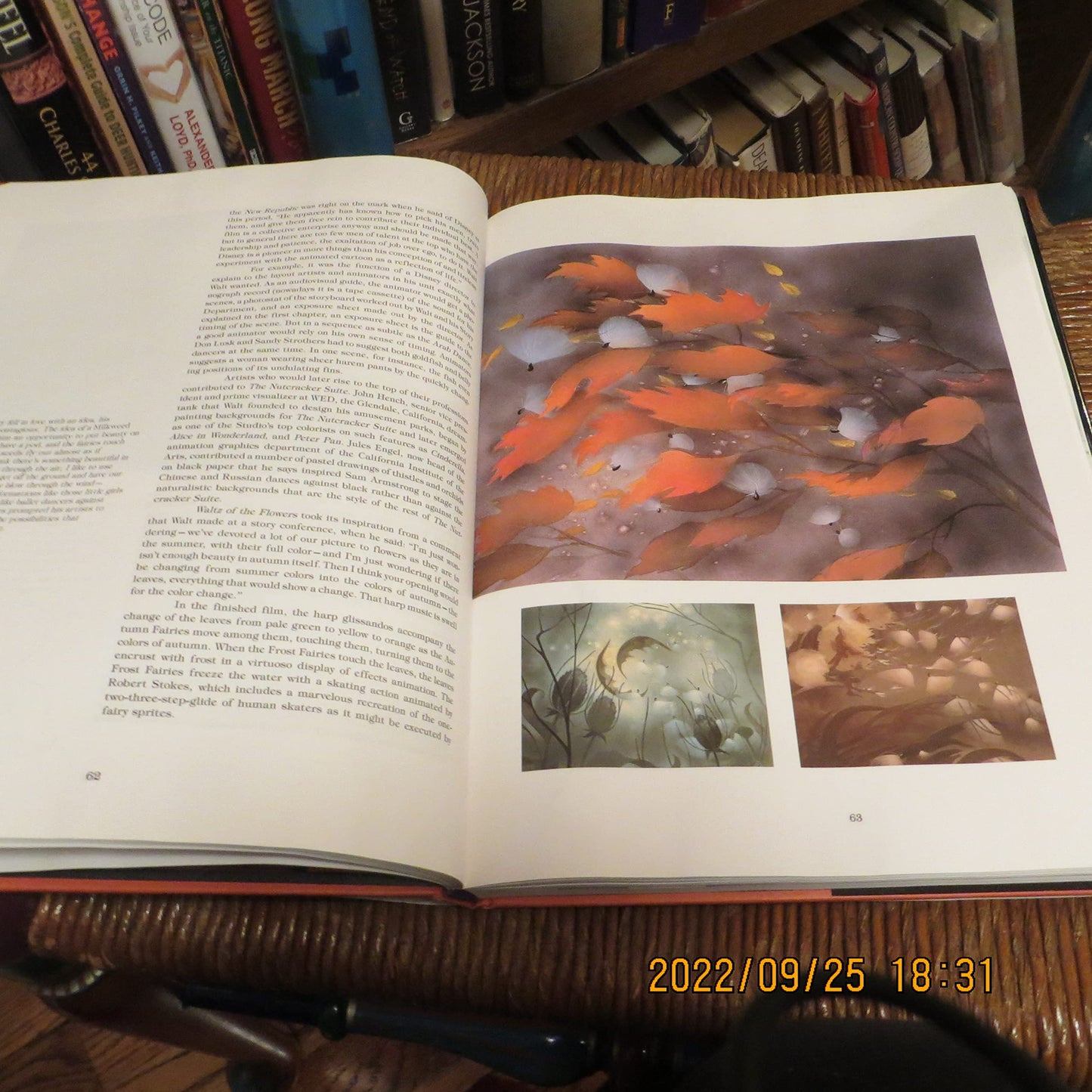 Walt Disney's Fantasia by Culhane, John