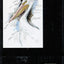 Wild Birds of America: The Art of Basil Ede