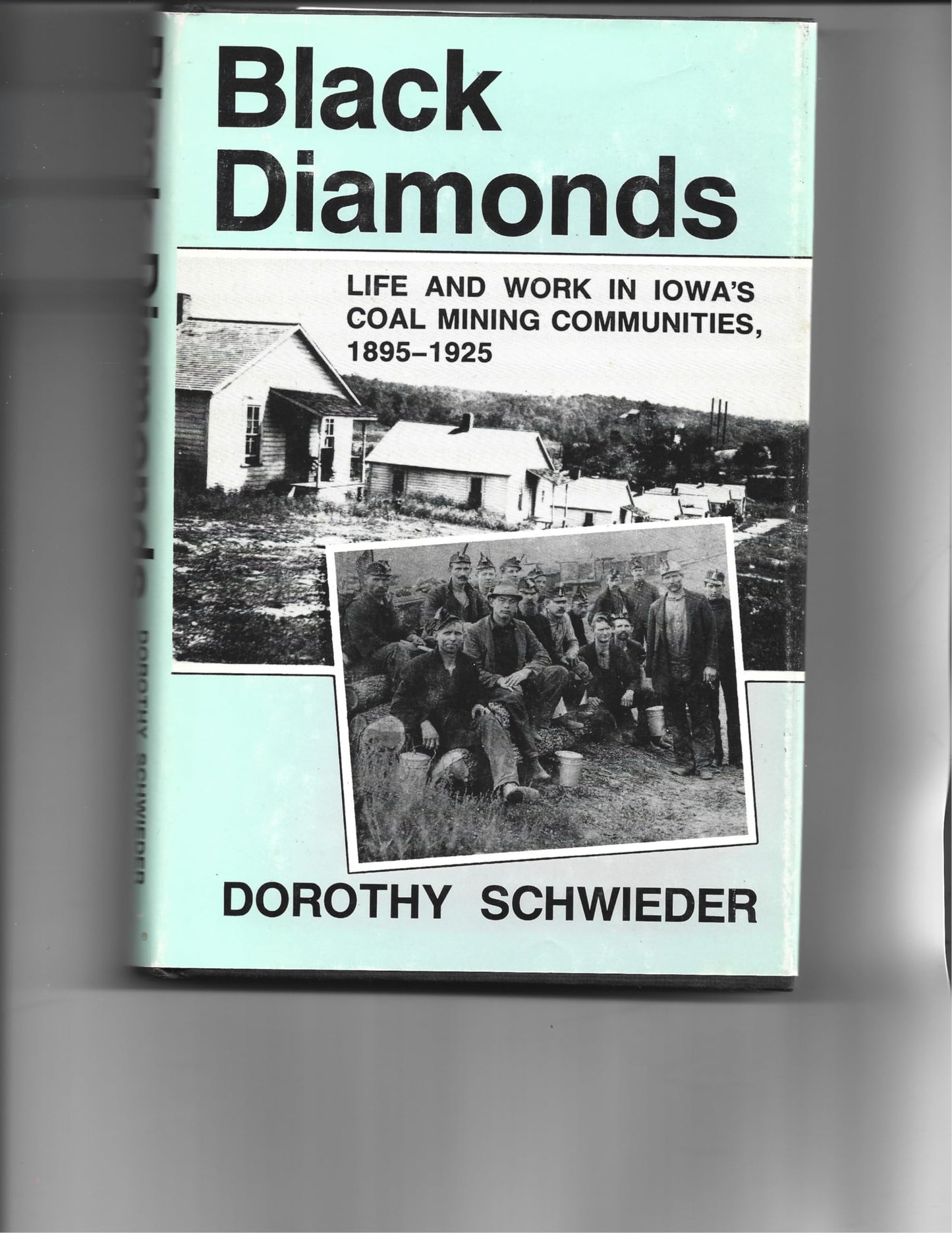 Black Diamonds: Life and Work in Iowa's Coal Mining Communities, 1895-1925