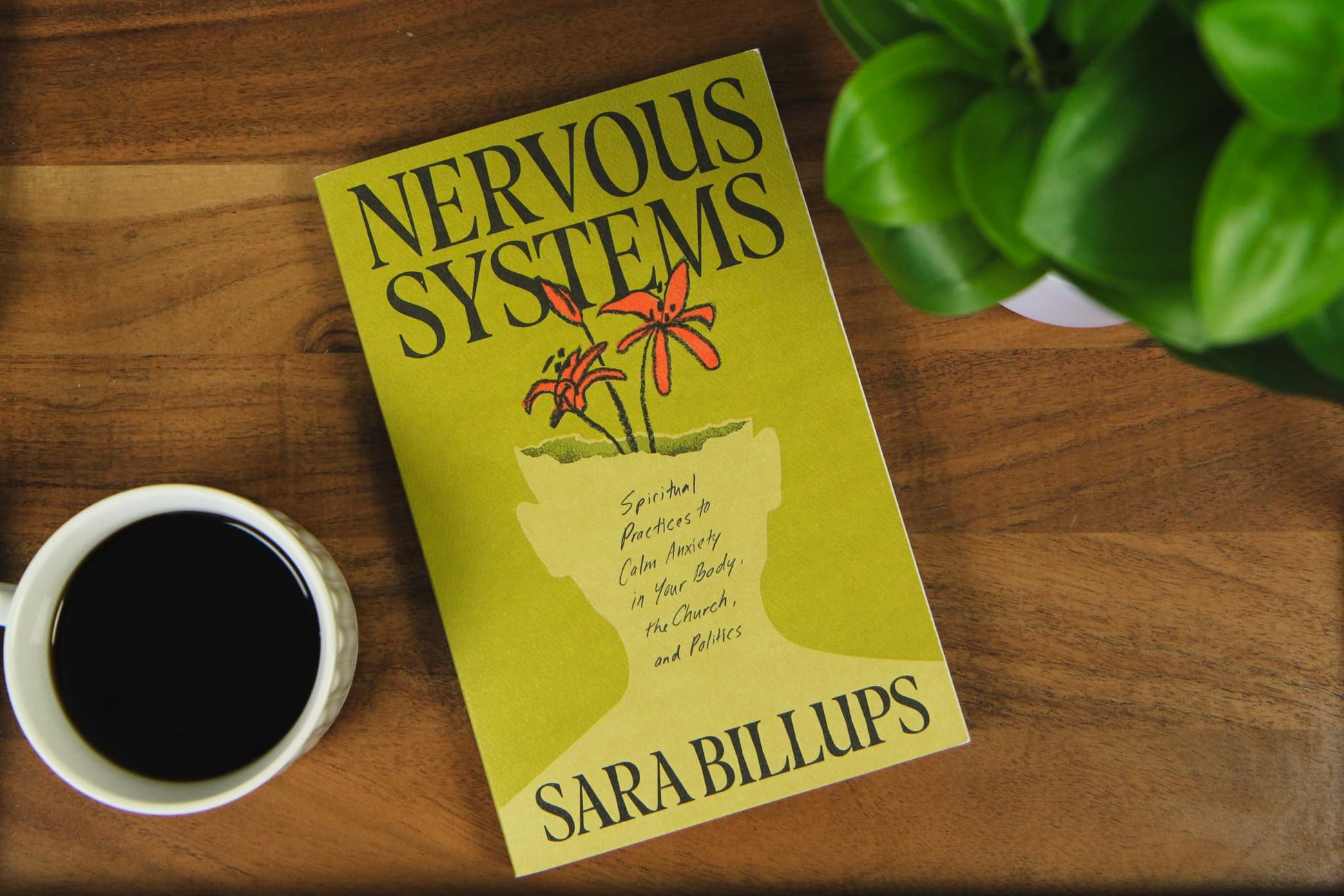 Nervous Systems: Spiritual Practices to Calm Anxiety in Your Body, the Church, and Politics
