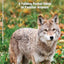 Missouri Wildlife: A Folding Pocket Guide to Familiar Animals (Wildlife and Nature Identification)