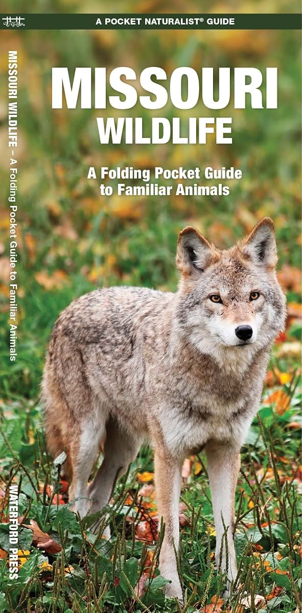 Missouri Wildlife: A Folding Pocket Guide to Familiar Animals (Wildlife and Nature Identification)