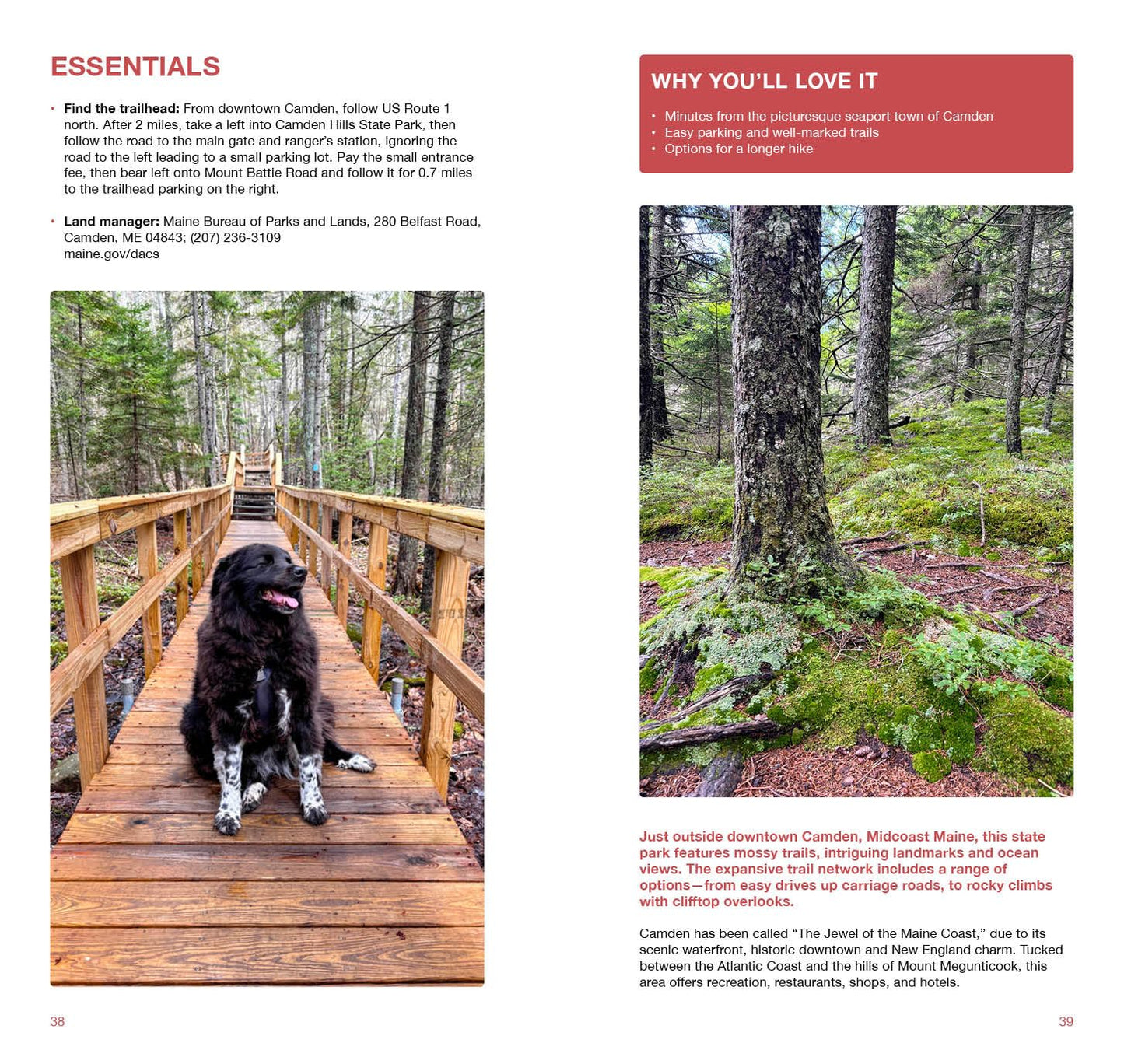 Dog Hiking New England: 45 Dog-Friendly Trails in Maine, New Hampshire, Vermont, Massachusetts, Connecticut and Rhode Island
