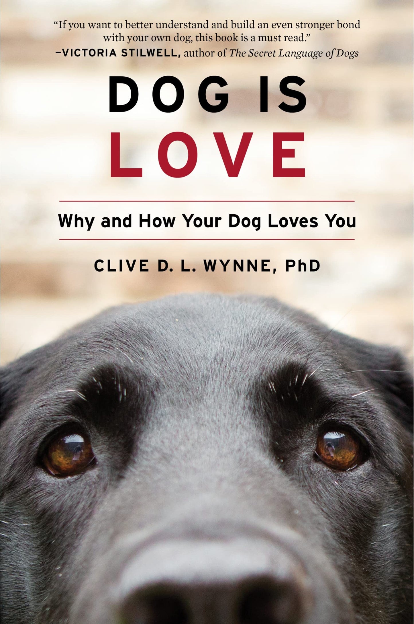 Dog Is Love: Why and How Your Dog Loves You by Wynne, Clive