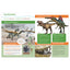 Seek & Find with Freddy and Ellie, Discovery - Dinosaurs
