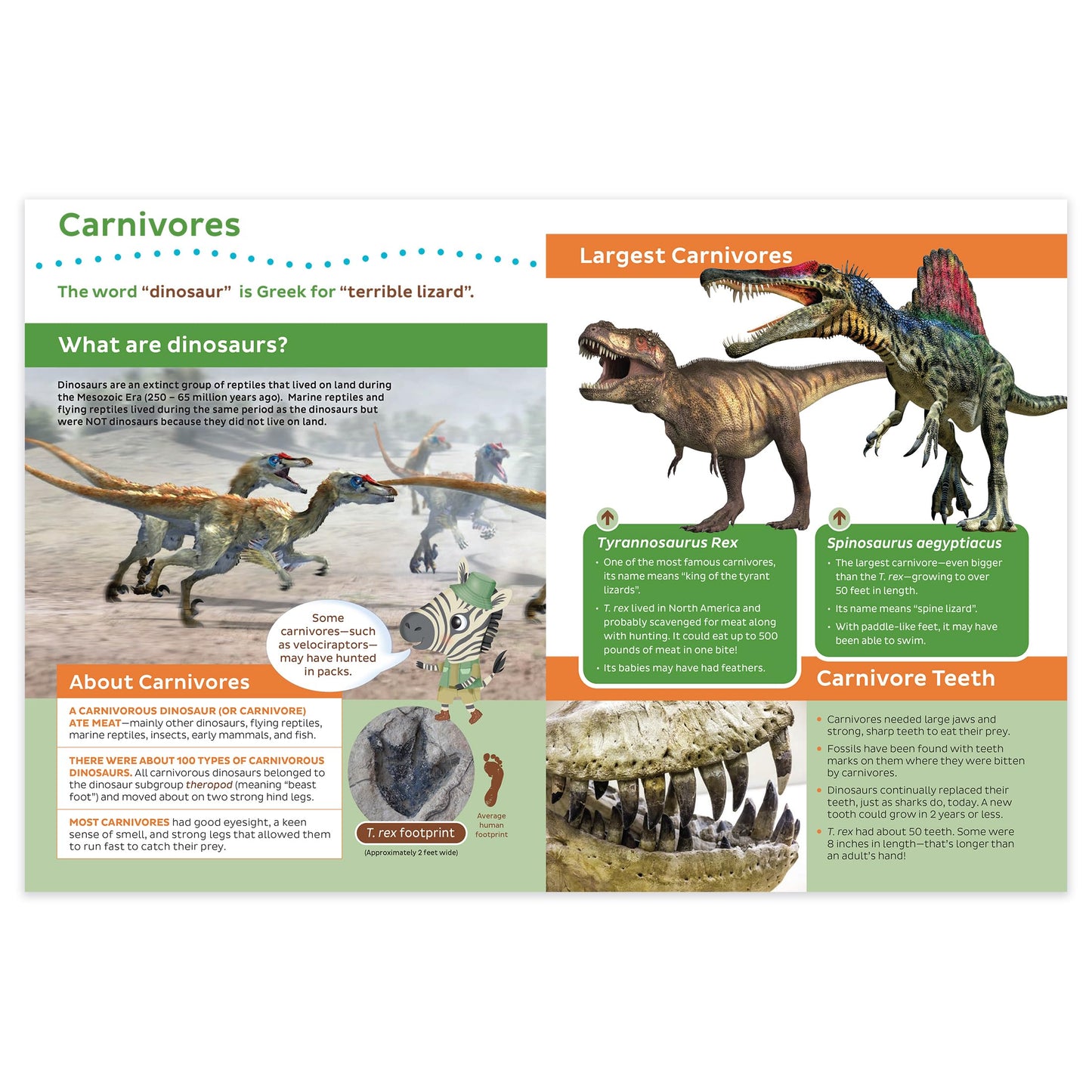Seek & Find with Freddy and Ellie, Discovery - Dinosaurs