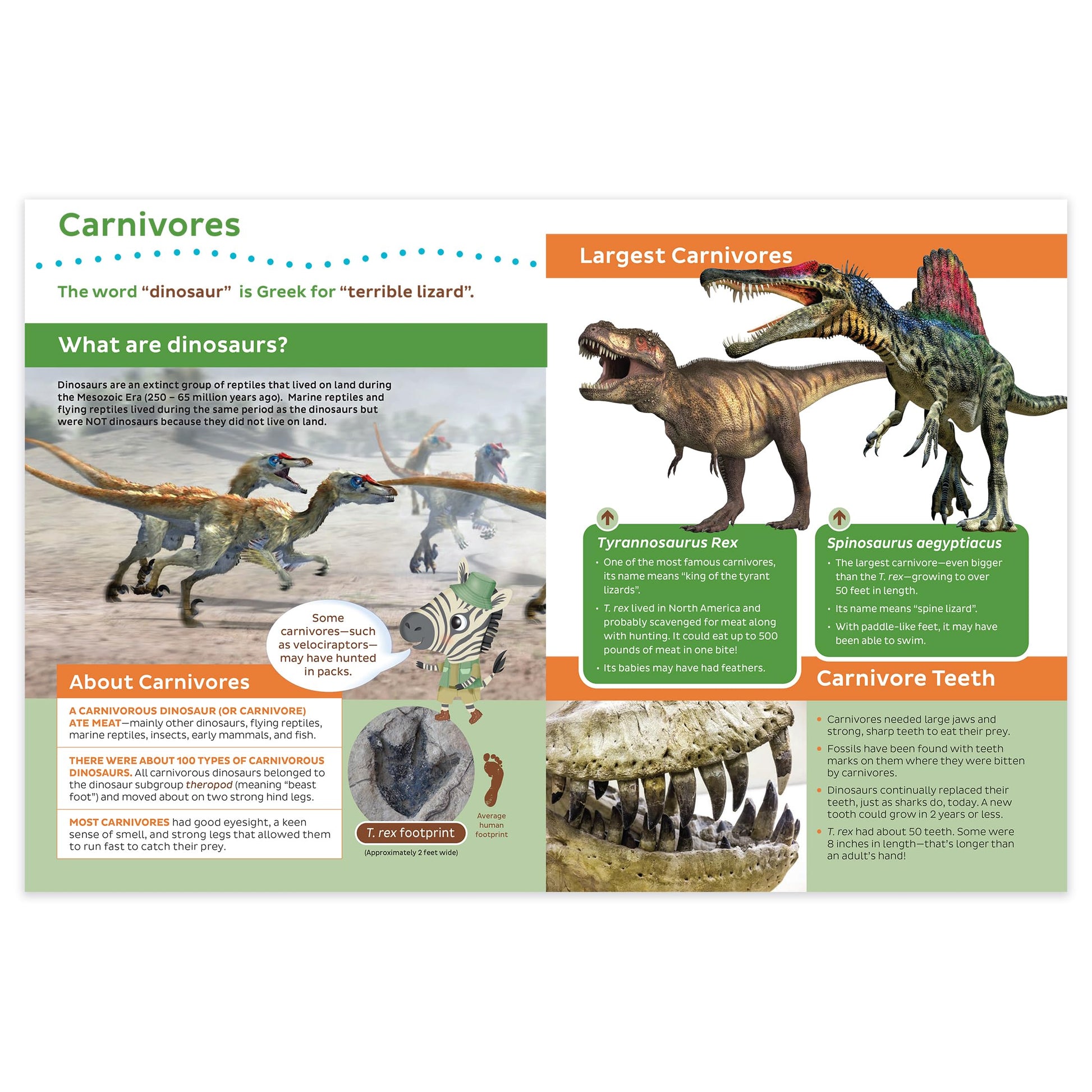 Seek & Find with Freddy and Ellie, Discovery - Dinosaurs