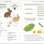 How to Be Good at Science, Technology and Engineering Workbook, Grades 2-5 (DK How to Be Good at)