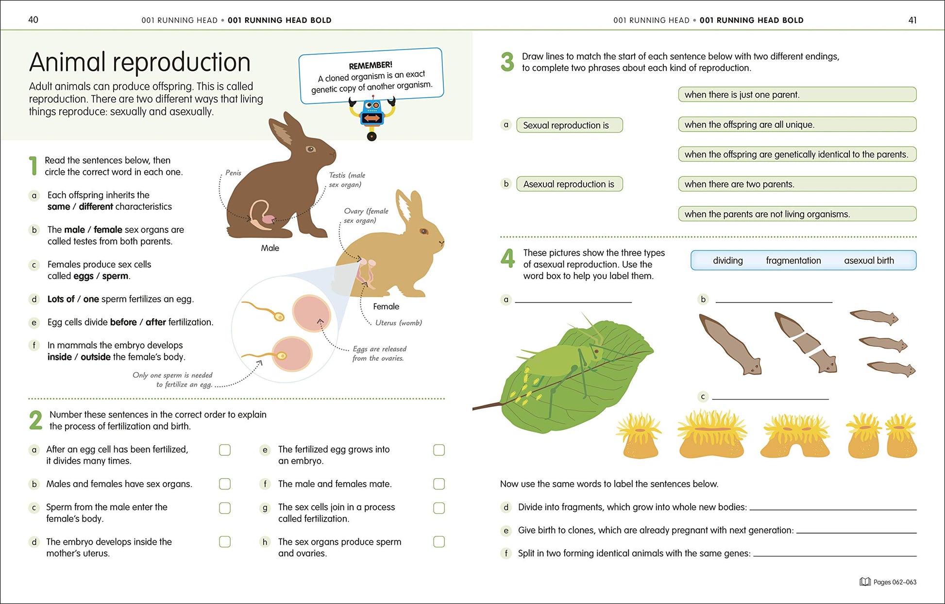 How to Be Good at Science, Technology and Engineering Workbook, Grades 2-5 (DK How to Be Good at)