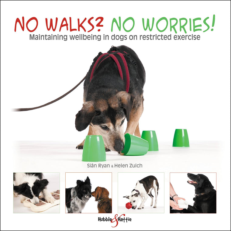 No Walks? No Worries!: Maintaining Wellbeing in Dogs on Restricted Exercise