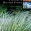 Phytoremediation Potential of Perennial Grasses