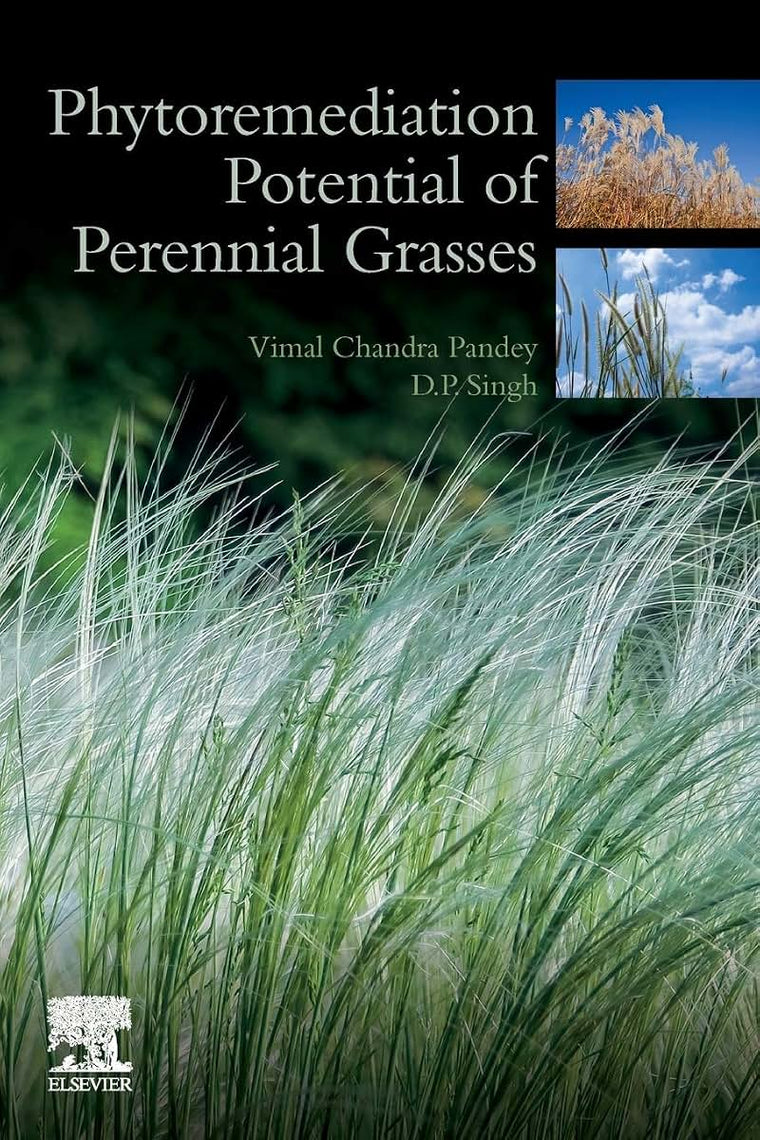 Phytoremediation Potential of Perennial Grasses