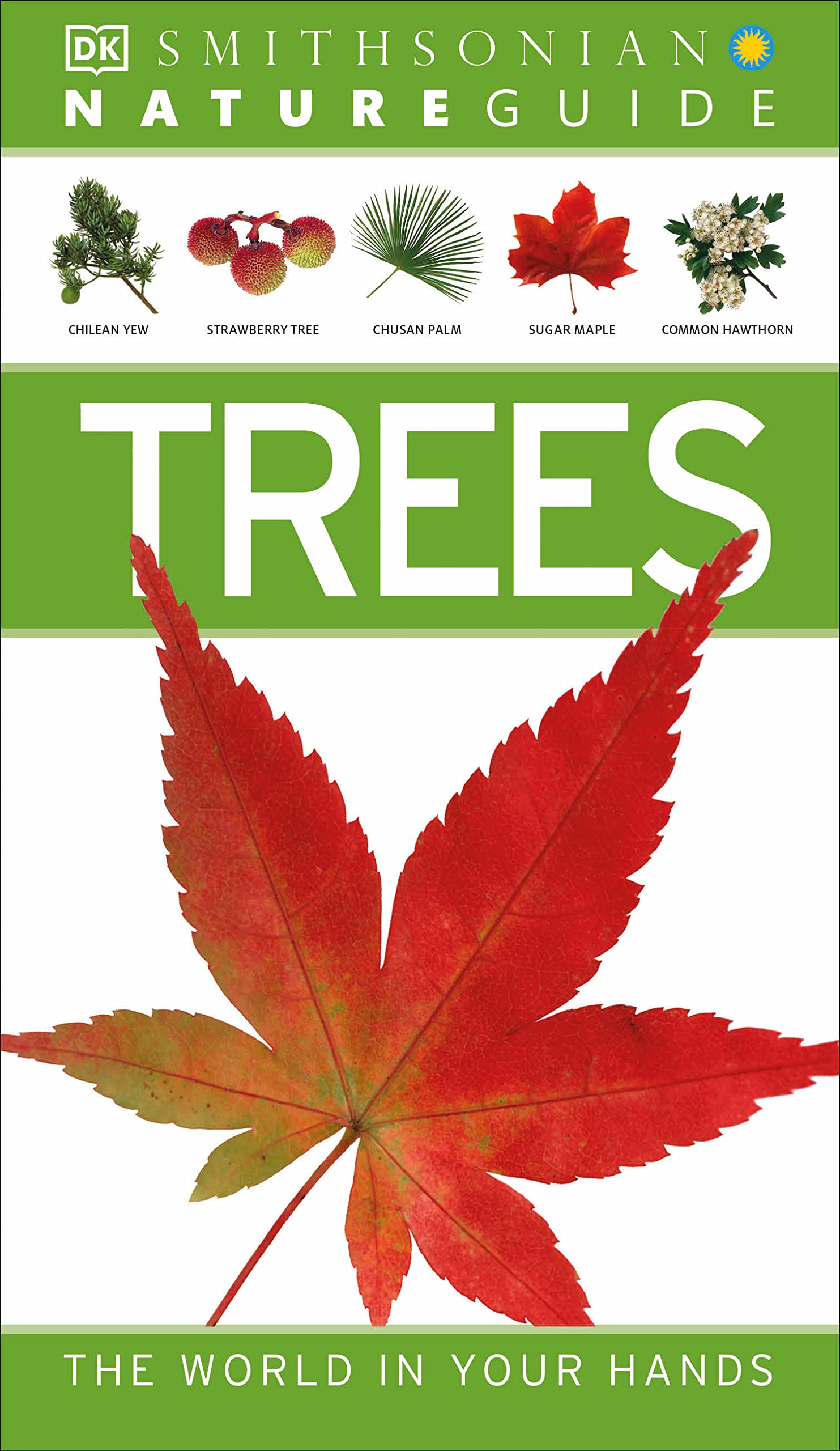 Nature Guide: Trees: The World in Your Hands (DK Nature Guides)