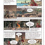 The Odyssey (Graphic Classics)