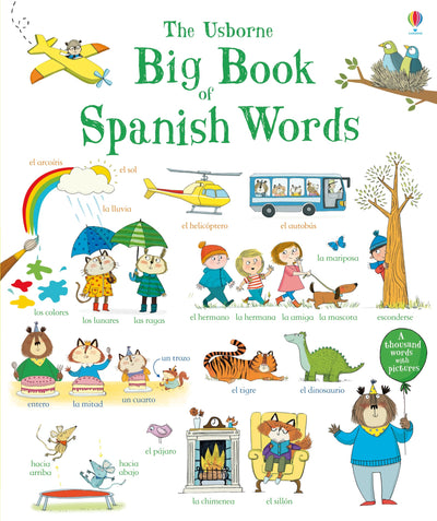Big Book of Spanish Words (Big Book of Words)