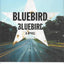 Bluebird, Bluebird (A Highway 59 Novel, 1) by Locke, Attica