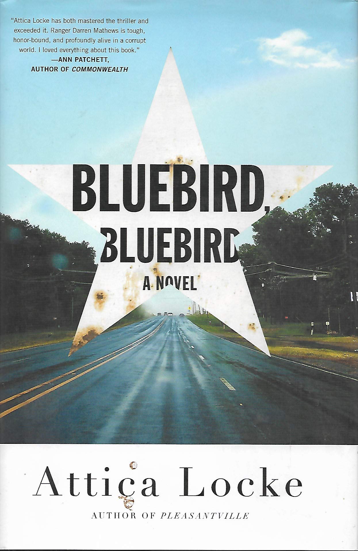 Bluebird, Bluebird (A Highway 59 Novel, 1) by Locke, Attica