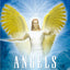 Angels of Light Cards: Pocket Edition