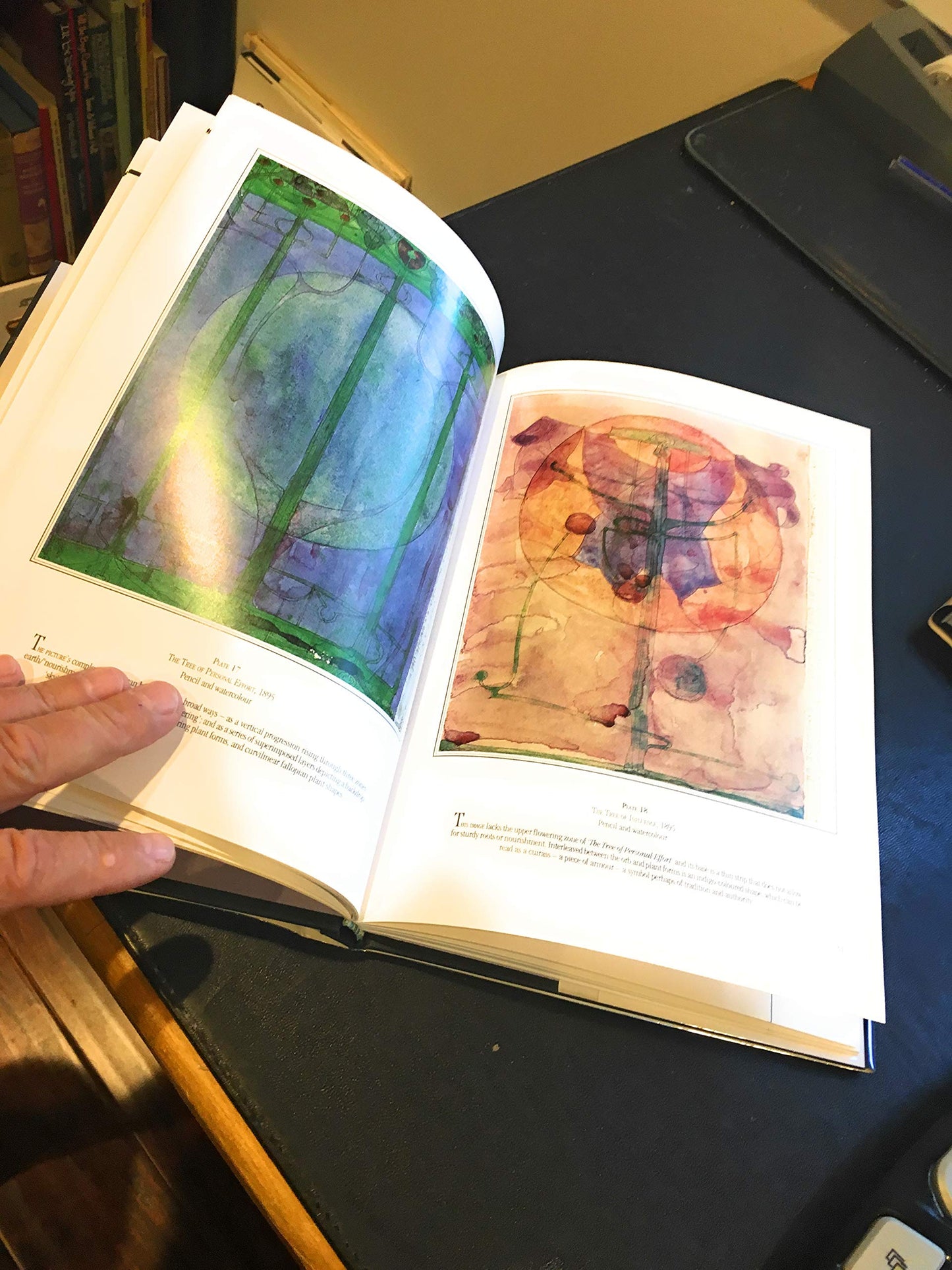 Flowers: Charles Rennie Mackintosh by Pamela Robertson