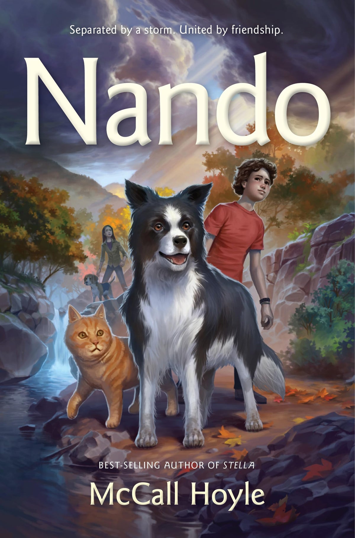 Nando: Volume 4 (Best Friends Dog Tales)