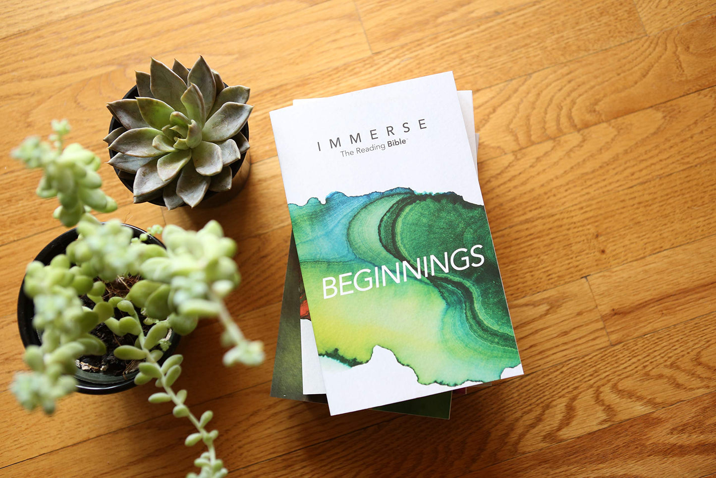 Immerse: Beginnings (Softcover) (Immerse: The Reading Bible)