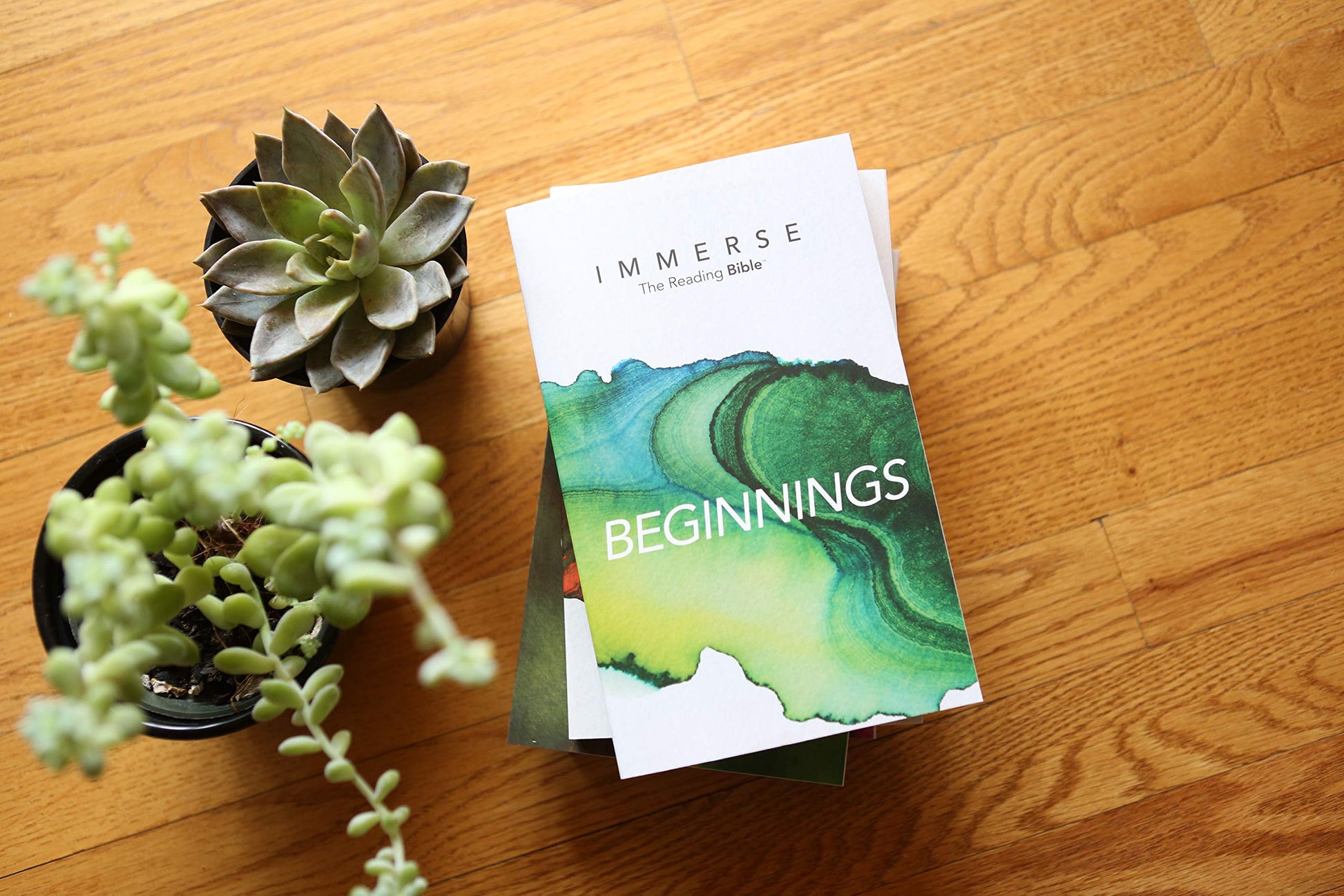 Immerse: Beginnings (Softcover) (Immerse: The Reading Bible)