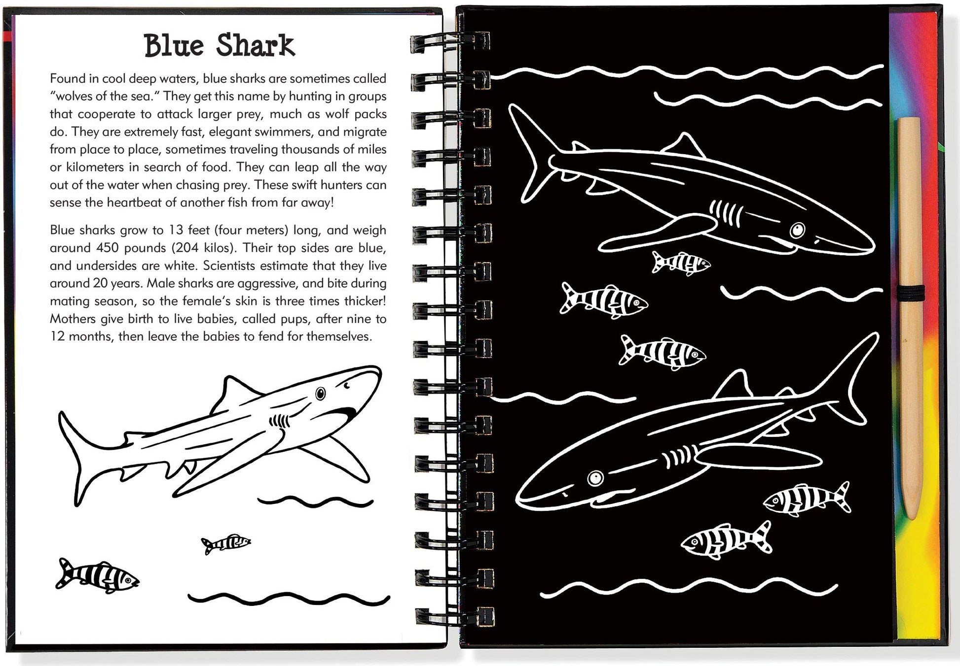 Scratch & Sketch Sharks (Trace Along)