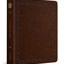 ESV Journaling Bible (Mocha, Threshold Design)