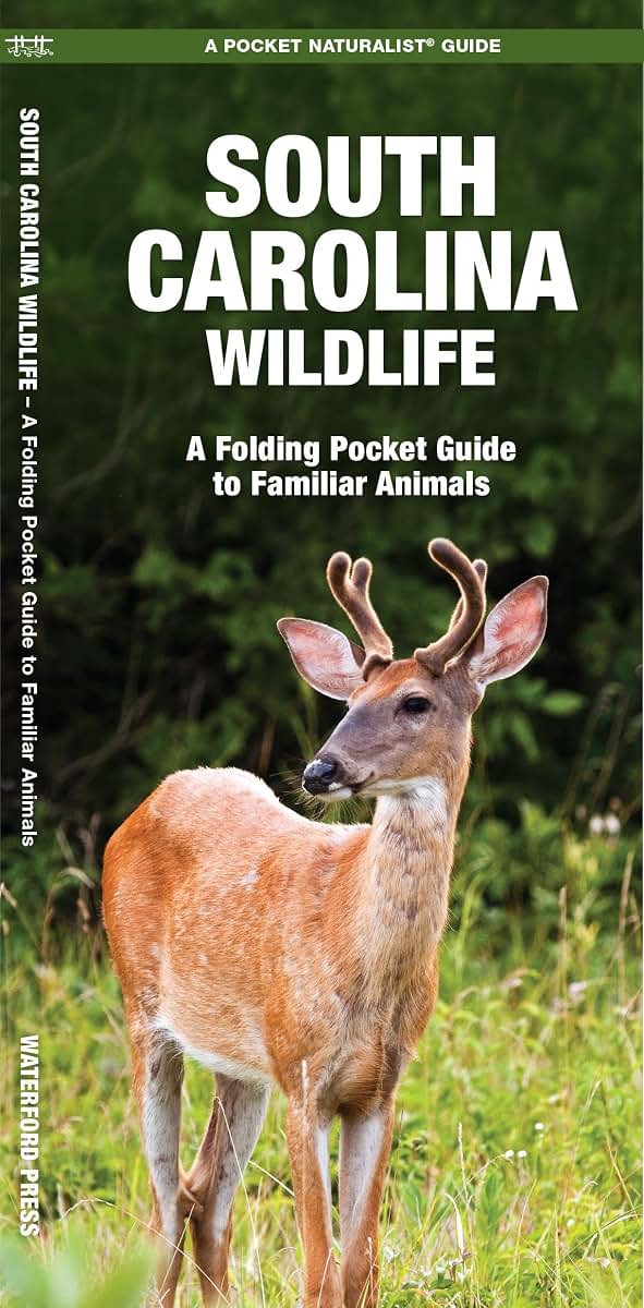 South Carolina Wildlife: A Folding Pocket Guide to Familiar Animals (Wildlife and Nature Identification)
