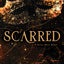 Never After Series 4 Books Collection Set By Emily McIntire(Wretched, Scarred, Hooked, Twisted)