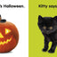Baby Touch and Feel Halloween: An Interactive Spooky Board Book
