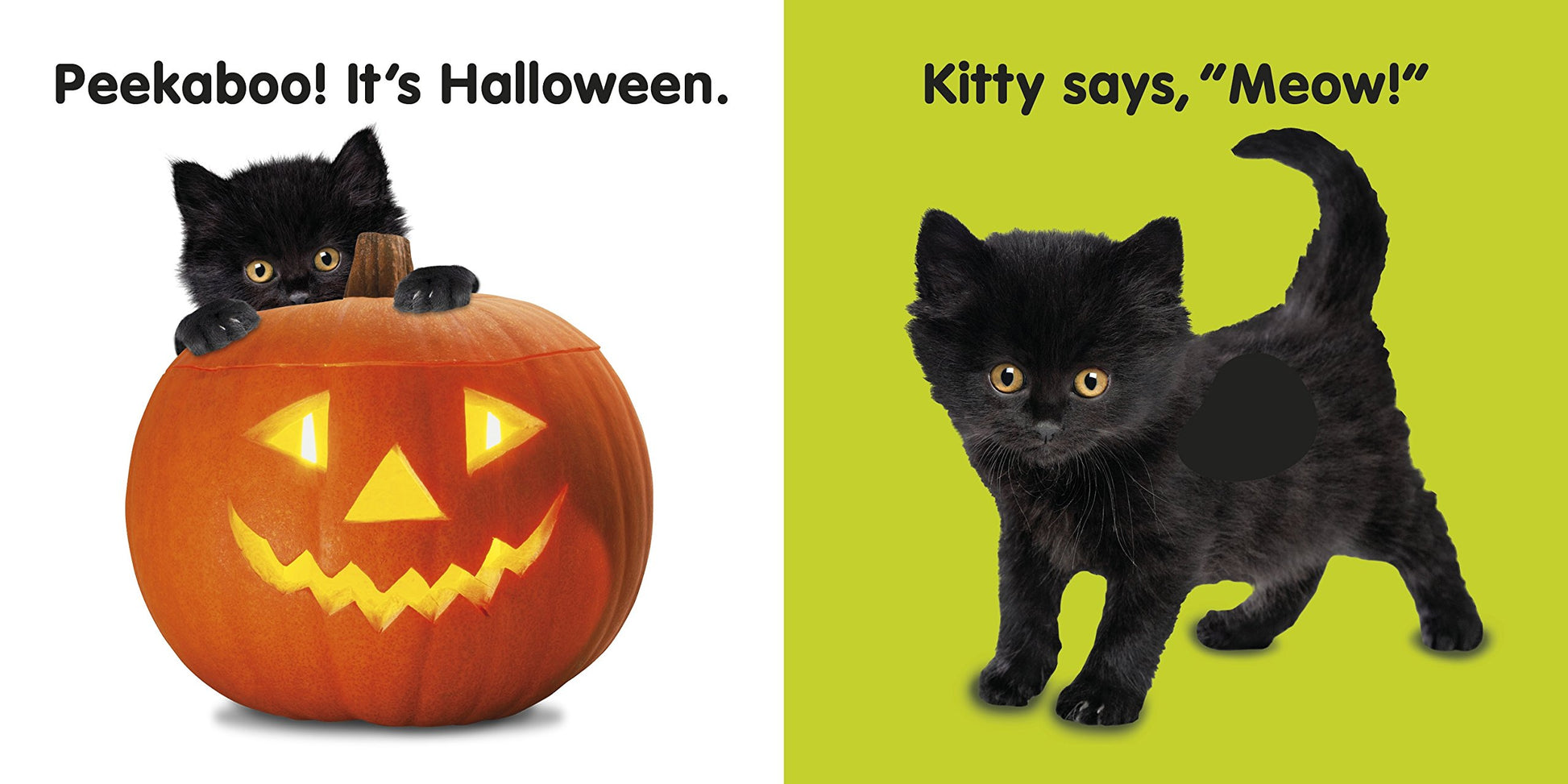 Baby Touch and Feel Halloween: An Interactive Spooky Board Book