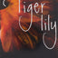Tiger Lily