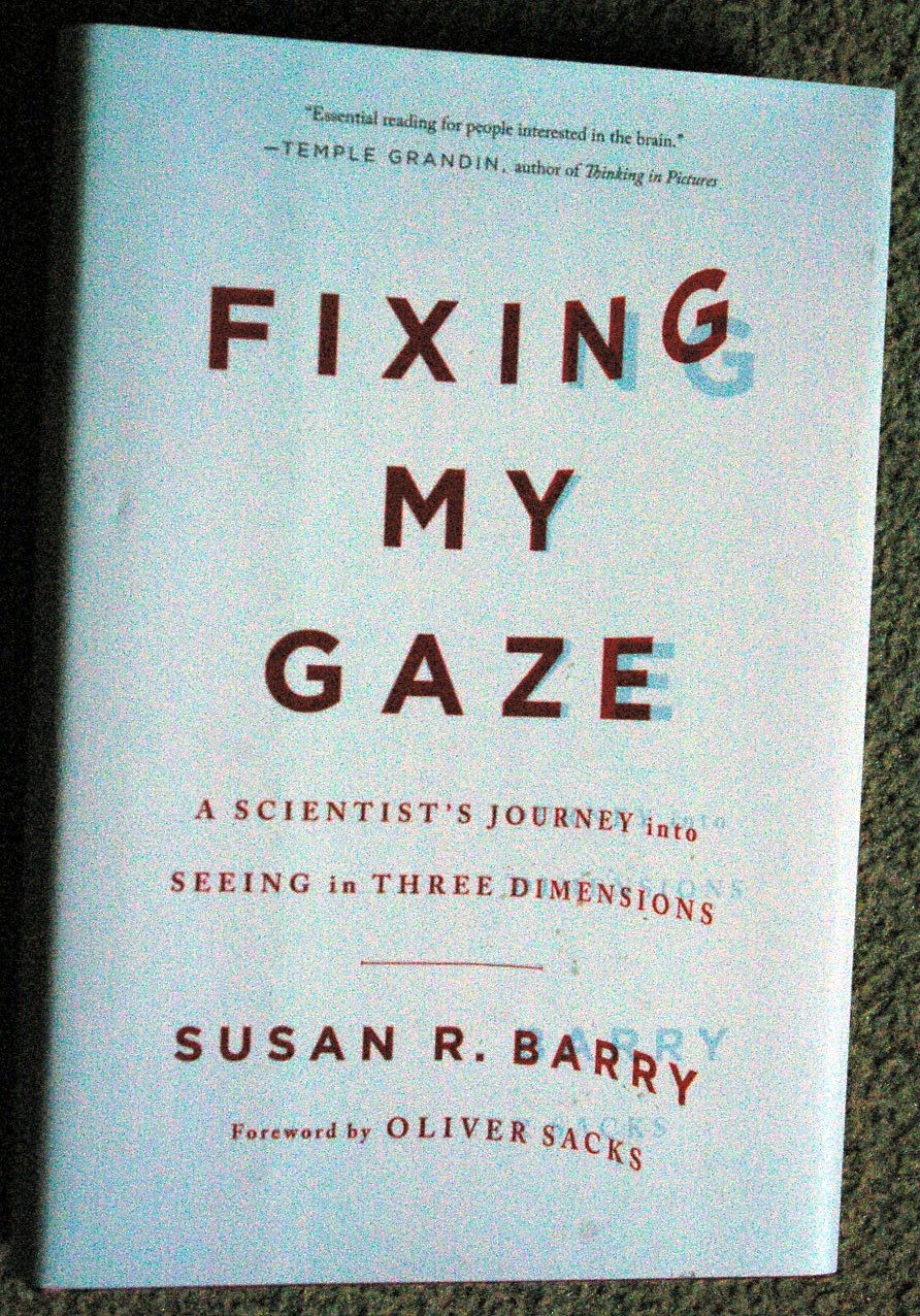 Fixing My Gaze: A Scientists Journey into Seeing in Three Dimensions