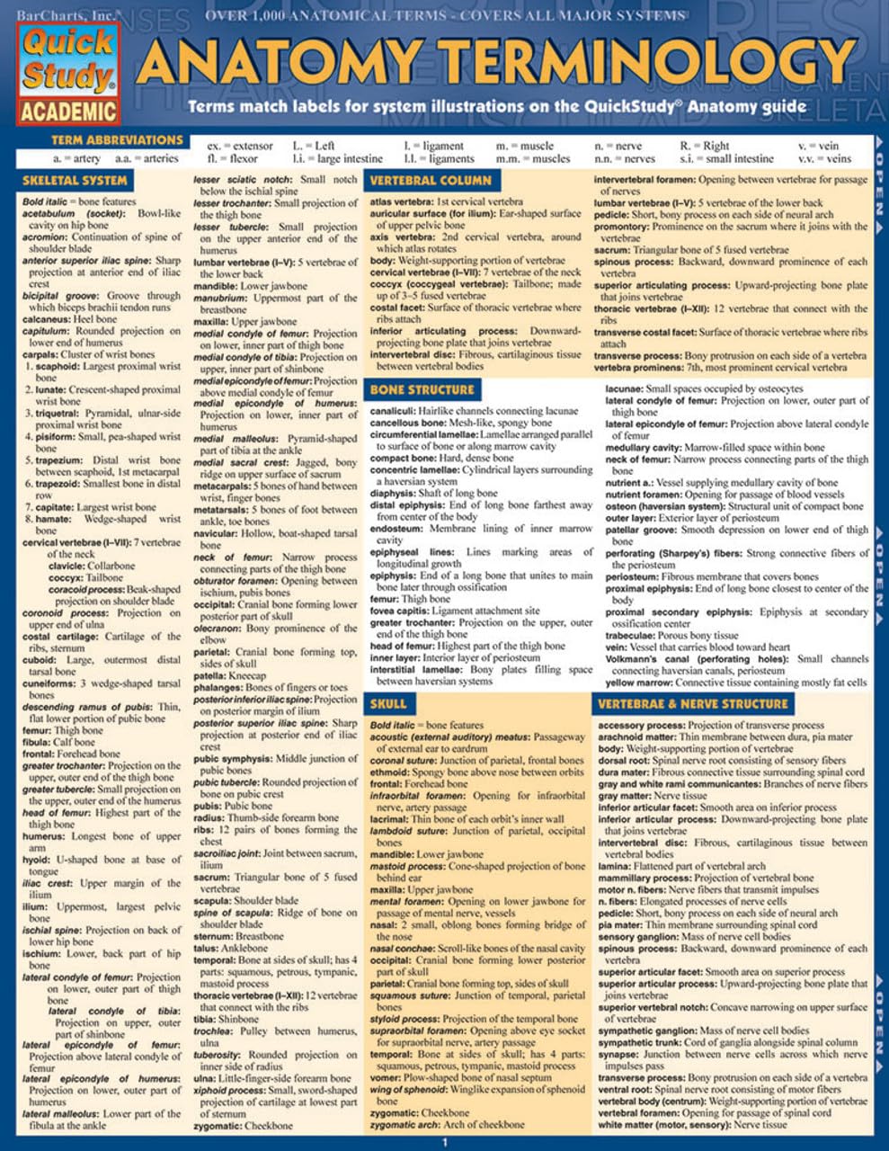 Anatomy Terminology Reference Guide: a QuickStudy Laminated Reference Guide (Quick Study Academic)