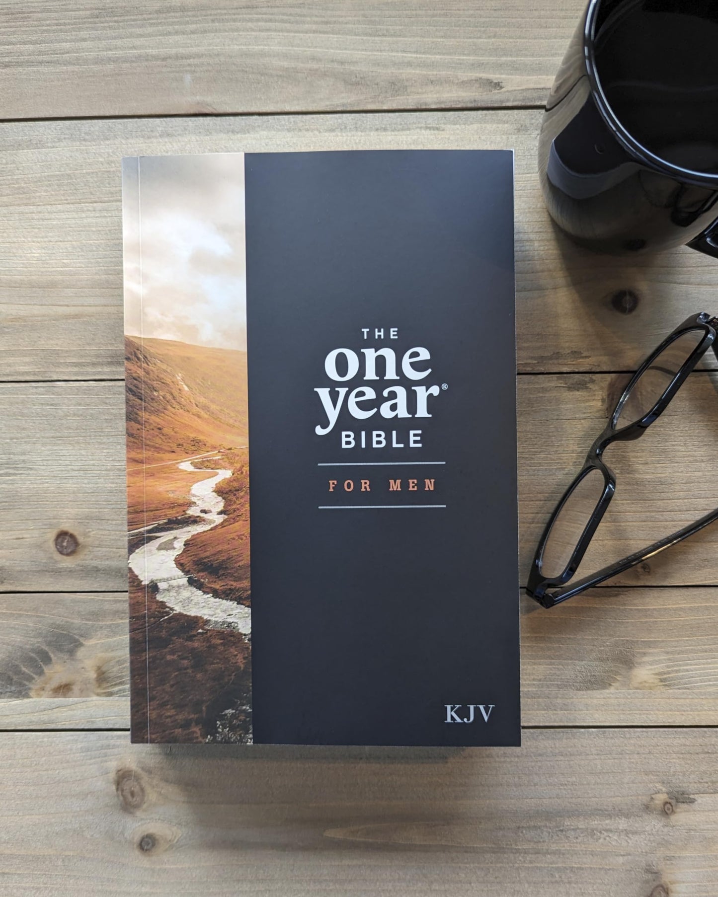The One Year Bible for Men, KJV (Softcover)